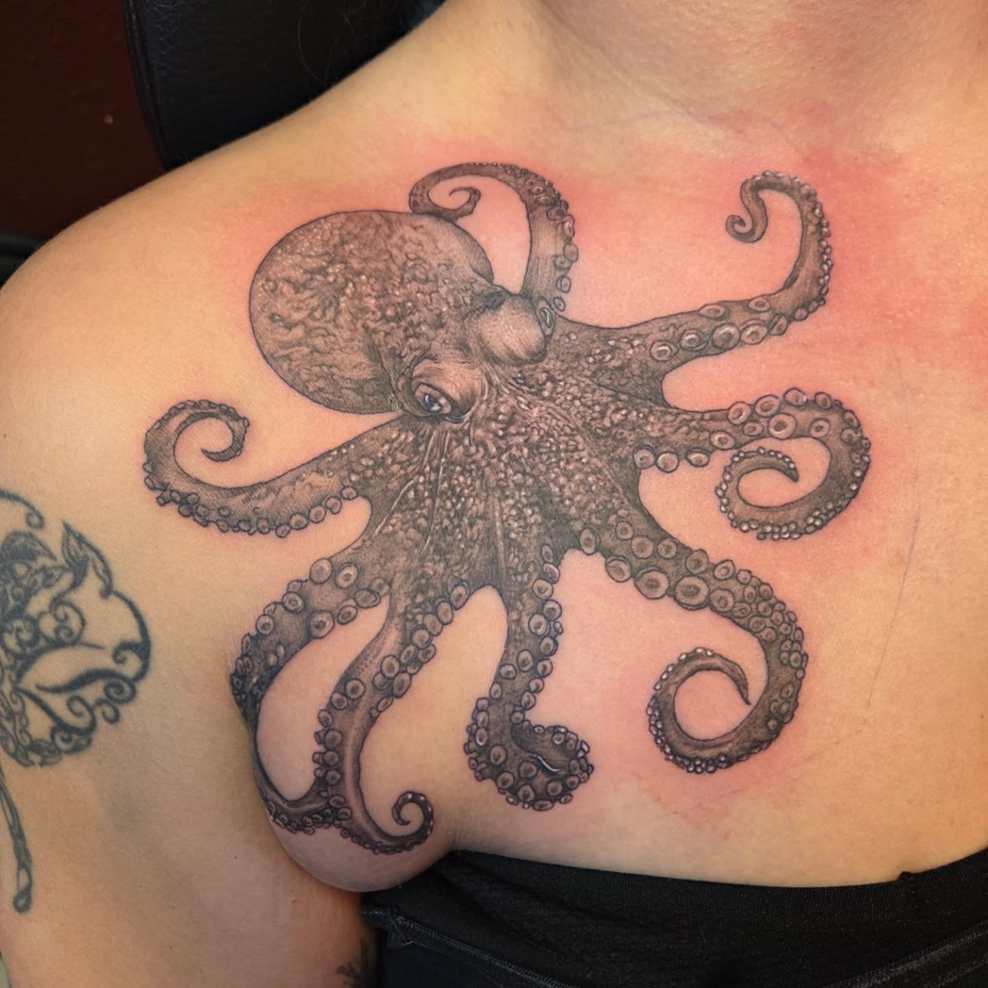Black and grey realistic octopus chest and shoulder tattoo